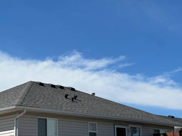 Best Slate Roofing  in Stonewood, WV